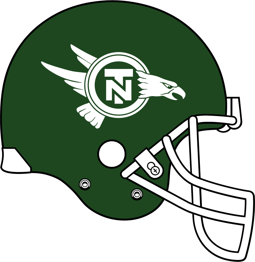 North Texas Mean Green 1992-1993 Helmet DIY iron on transfer (heat transfer)